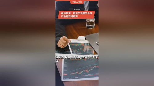 電科數(shù)字 華為多產(chǎn)品鉆石經(jīng)銷商與數(shù)碼代理業(yè)務的雙重優(yōu)勢